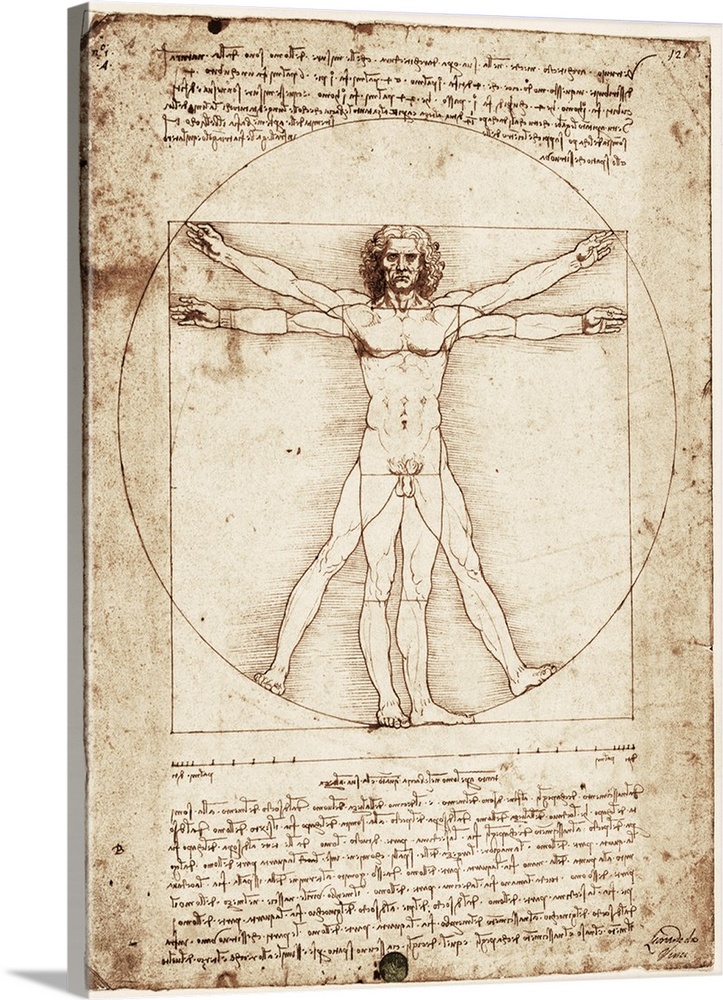 723x1000 Vitruvian Man Drawing Wall Art, Canvas Prints, Framed - Vitruvian Man Drawing
