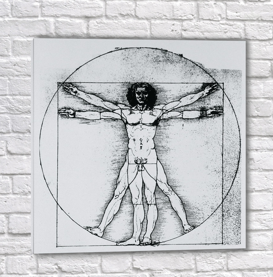 885x900 Buy Canvas Prints Vitruvian Man Drawing In Ppencil Art Photo - Vitruvian Man Drawing