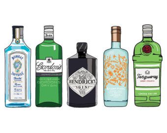 340x270 gin bottle illustration print - Vodka Bottle Drawing