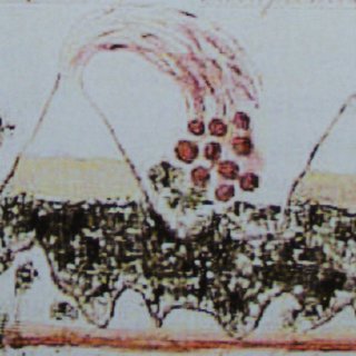 320x320 Drawing Of The Eruption - Volcano Drawing