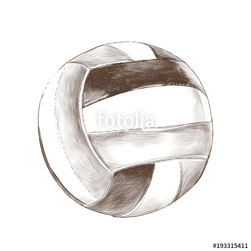 500x500 volleyball ball sketch vector graphics monochrome drawing stock - Volleyball Ball Drawing