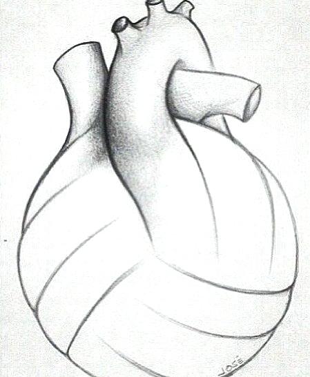 449x546 volleyball drawings enkrateia - Volleyball Drawing