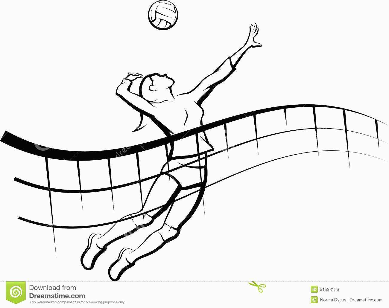 Volleyball Player Drawing at Explore collection of