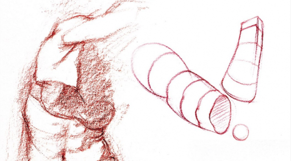 600x332 figure drawing essentials anatomy form - Volume Drawing