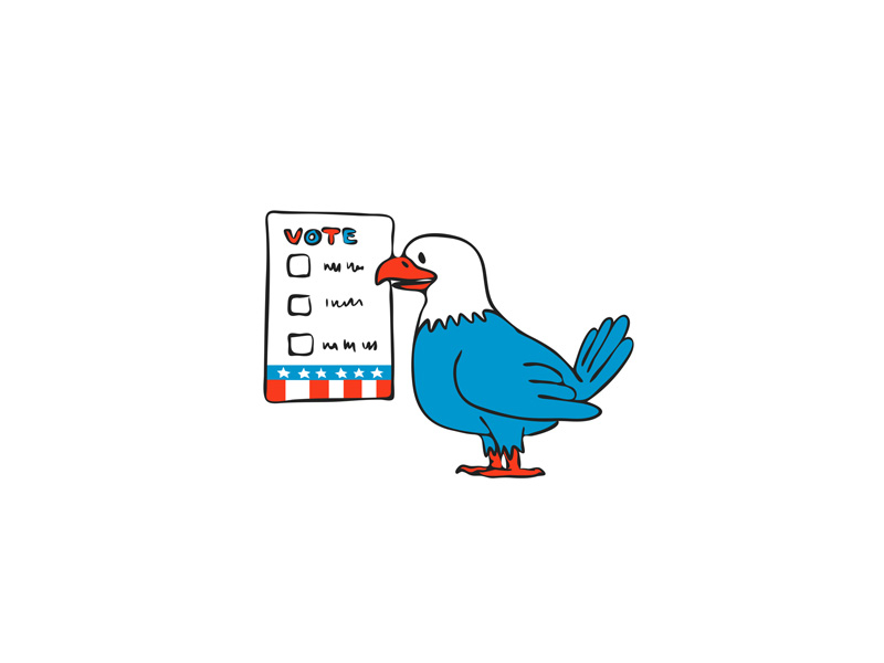 800x600 american eagle voting election ballot drawing - Voting Drawing