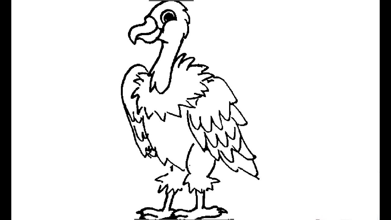 1280x720 how to draw a vulture - Vulture Drawing