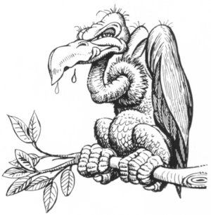 300x306 vulture drawing - Vulture Drawing
