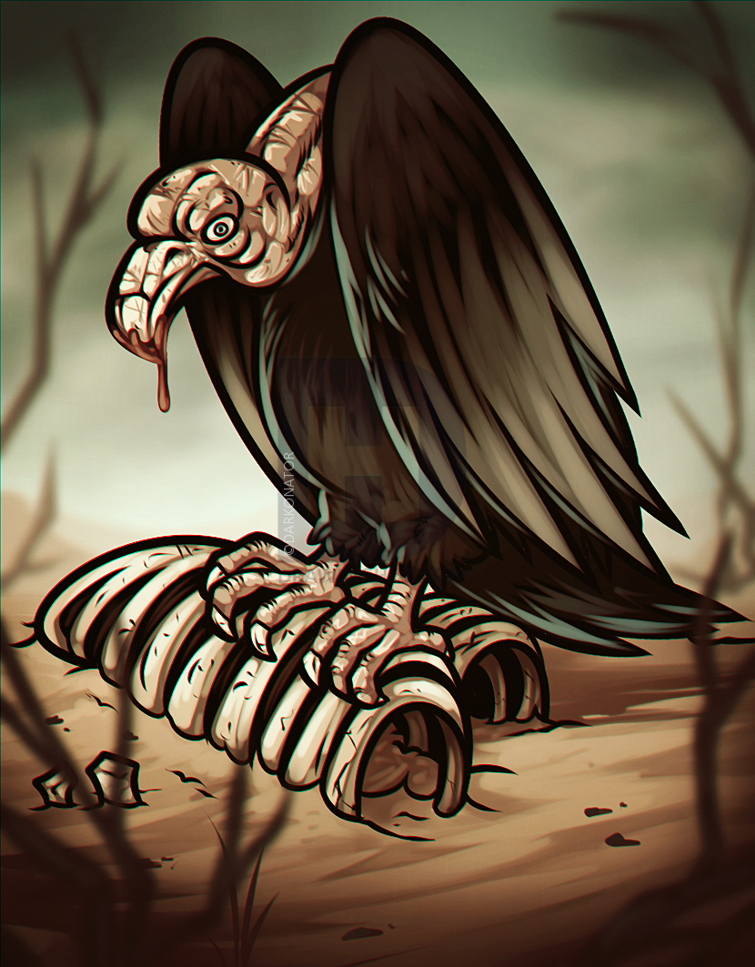 830x1063 how to draw a vulture, step - Vulture Drawing