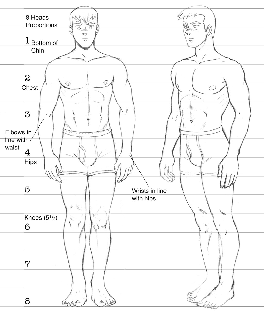 1024x1242 how to draw comics character design drawing the figure dirk i - Waist Drawing