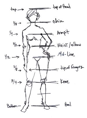 300x408 how to draw people - Waist Drawing