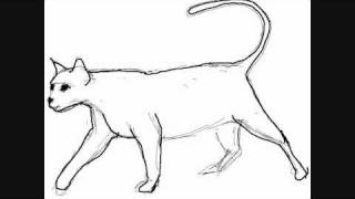 320x180 how to draw a cat walking - Walking Cat Drawing