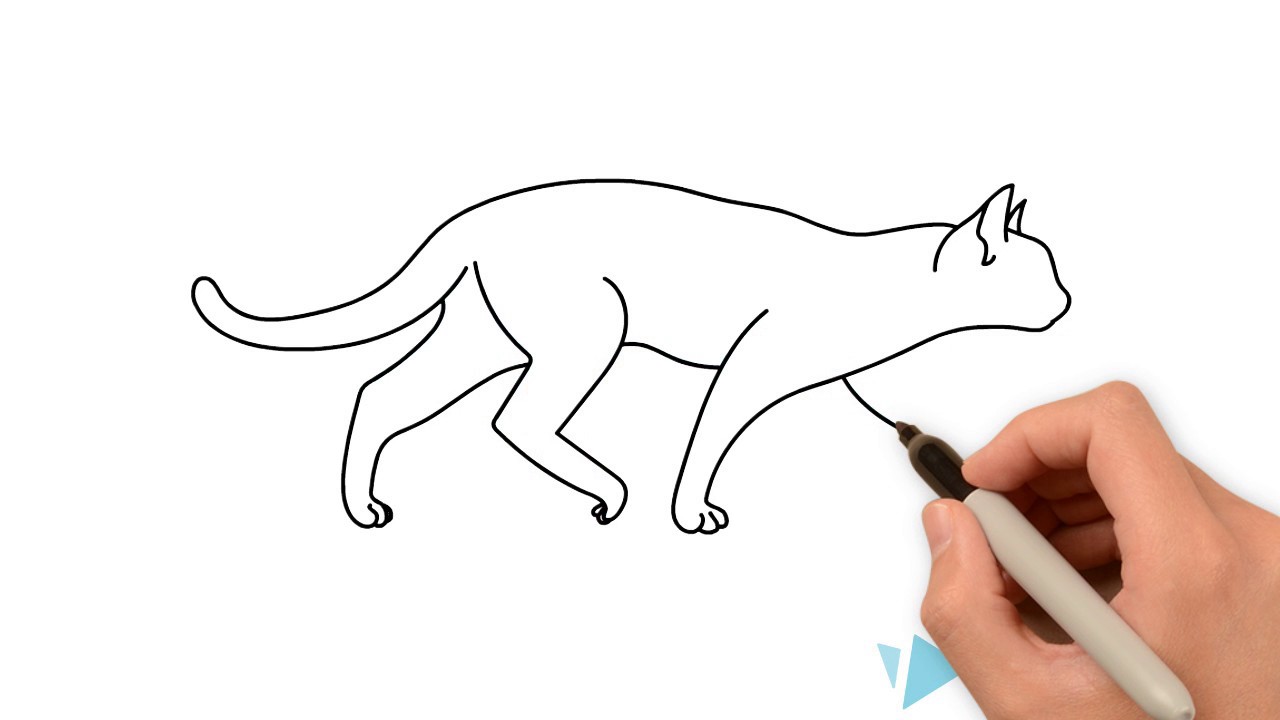 1280x720 how to draw a walking cat - Walking Cat Drawing