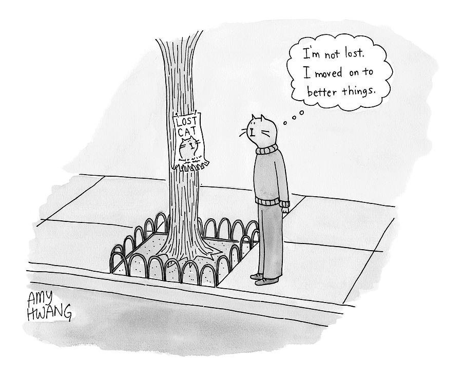 900x730 a cat walking upright and wearing clothes looks drawing - Walking Cat Drawing