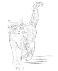 196x240 walking cat, drawn on june so i've taken two - Walking Cat Drawing