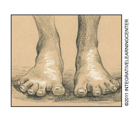 570x497 barefoot running walking and flat feed feldenkrais - Walking Feet Drawing