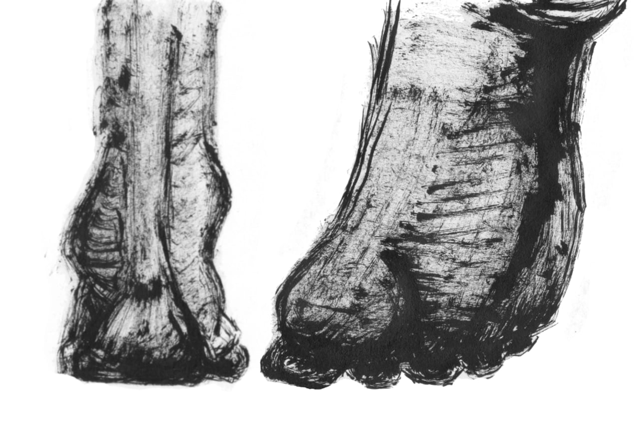 1280x853 walking feet joline papa, illustrator, graphic designer and animator - Walking Feet Drawing