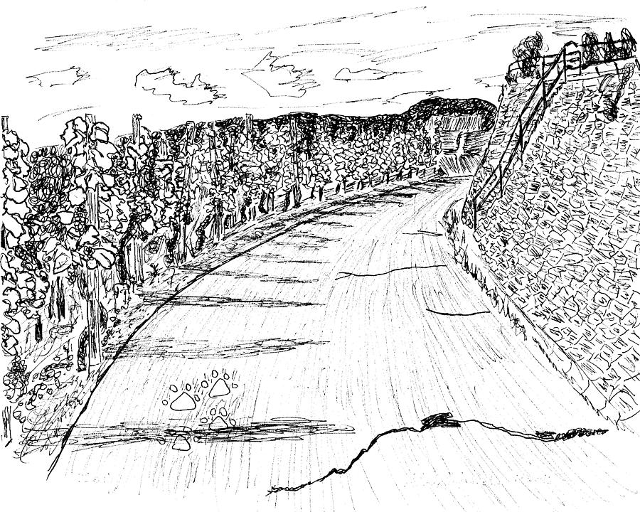 900x720 Vineyard Walk At Zell, Germany Drawing - Walkway Drawing