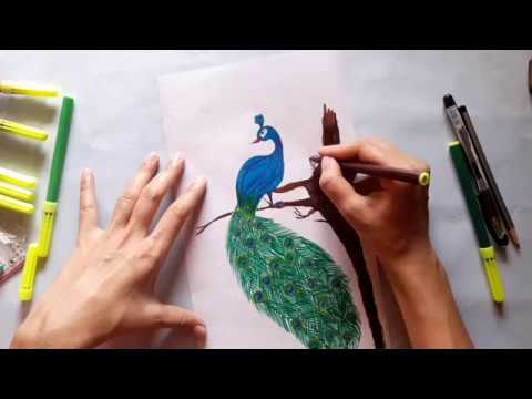 480x360 peacock wall hanging drawing easy home decoration idea - Wall Hanging Drawing