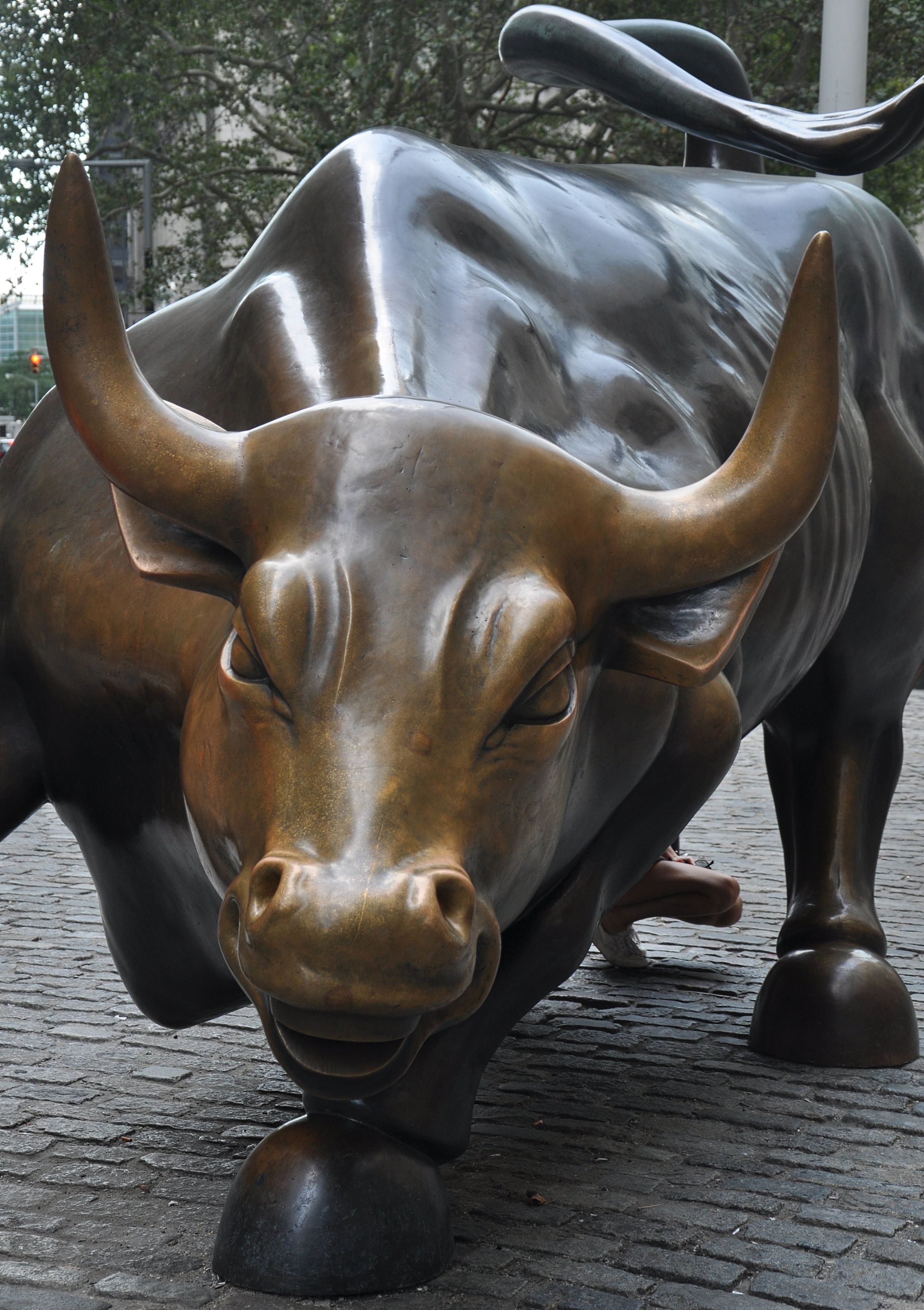 2528x3584 new york's wall street bull - Wall Street Bull Drawing