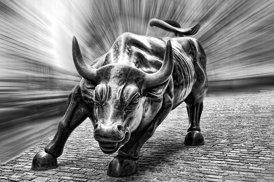 900x600 wall street bull black and white photograph - Wall Street Bull Drawing