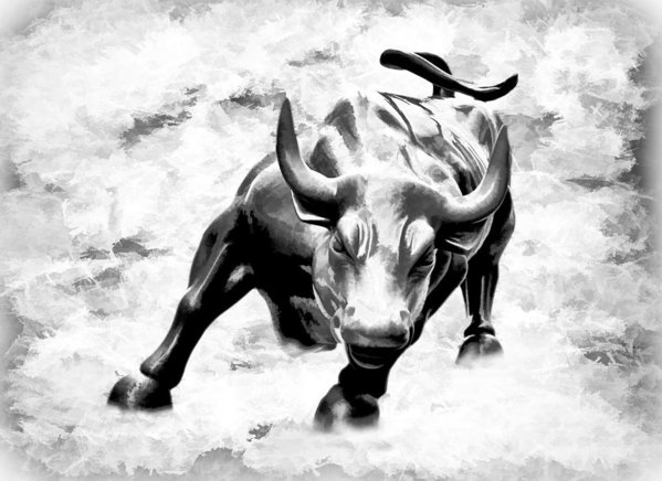 599x436 wall street bull bw art print - Wall Street Bull Drawing