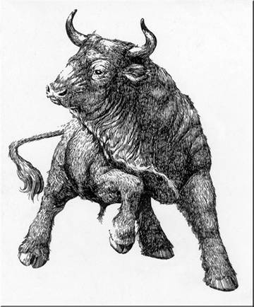 360x434 wall street bull - Wall Street Bull Drawing
