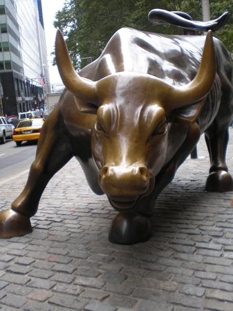 337x450 Charging Bull - Wall Street Bull Drawing