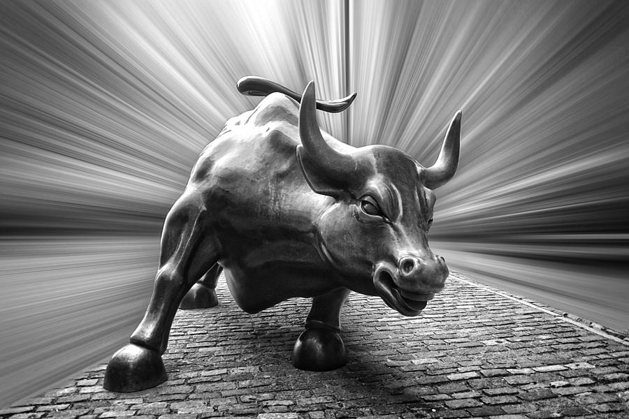 900x600 charging wall street bull b w photograph - Wall Street Bull Drawing