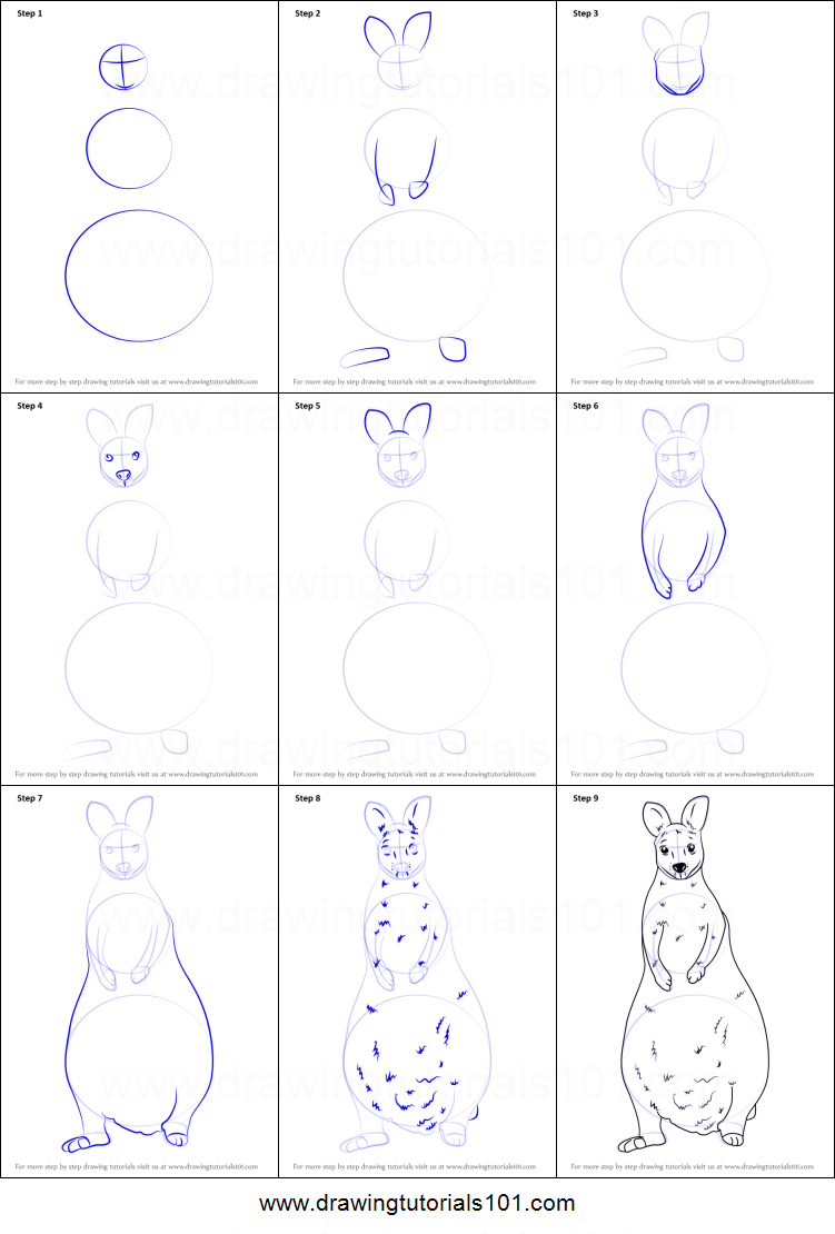 751x1110 How To Draw A Wallaby Printable Step - Wallaby Drawing