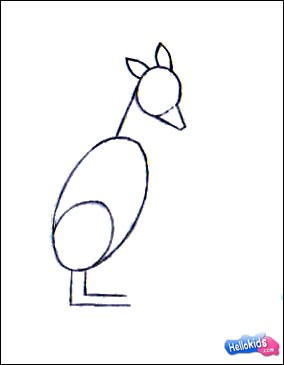 284x365 How To Draw Wallaby - Wallaby Drawing