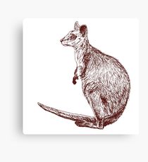 210x230 Wallaby Drawing Canvas Prints Redbubble - Wallaby Drawing