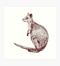 210x230 Wallaby Drawing Wall Art Redbubble - Wallaby Drawing