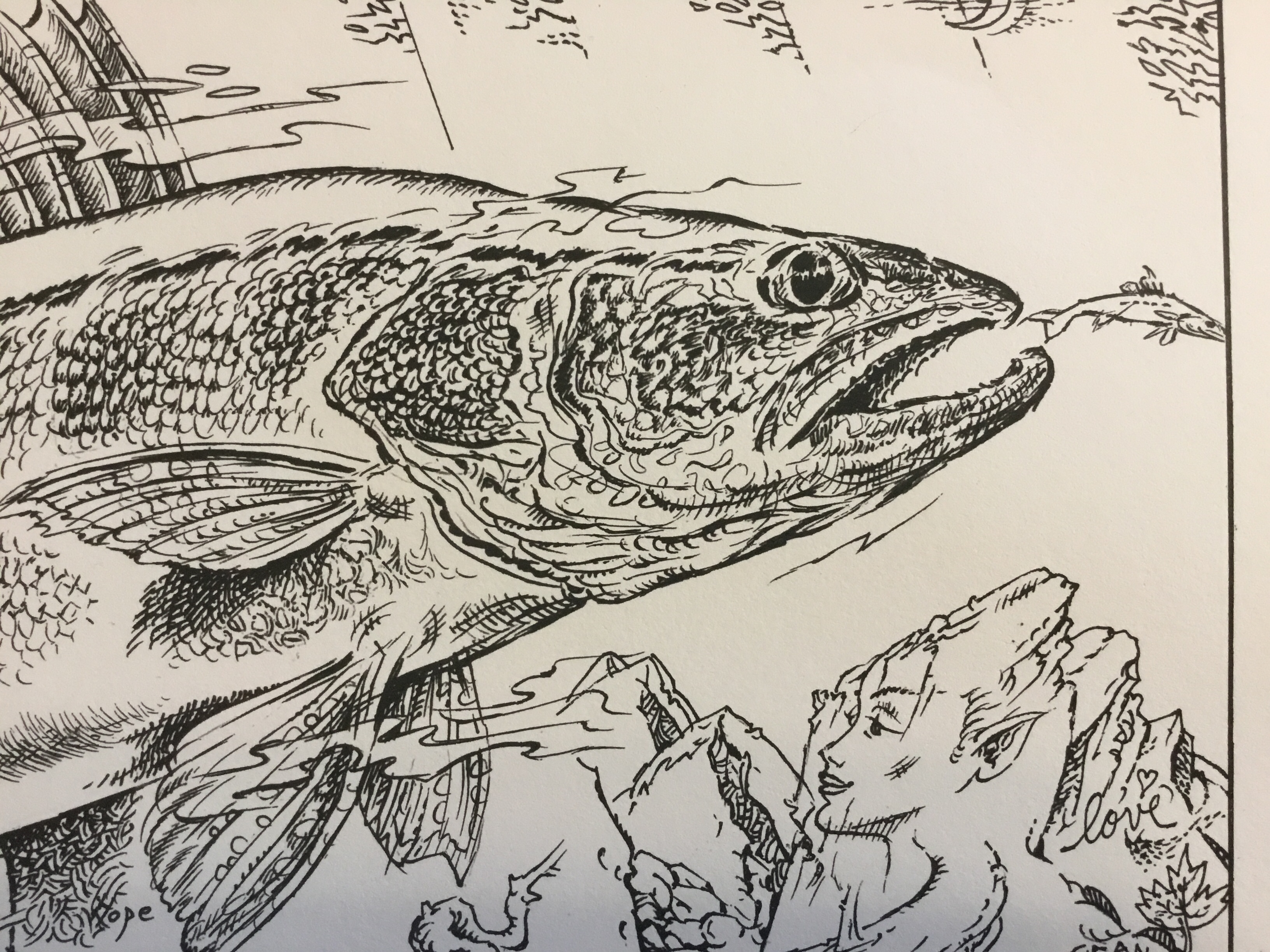 3264x2448 Walleye Drawing - Walleye Drawing