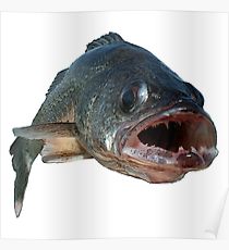 210x230 Walleye Drawing Posters Redbubble - Walleye Drawing