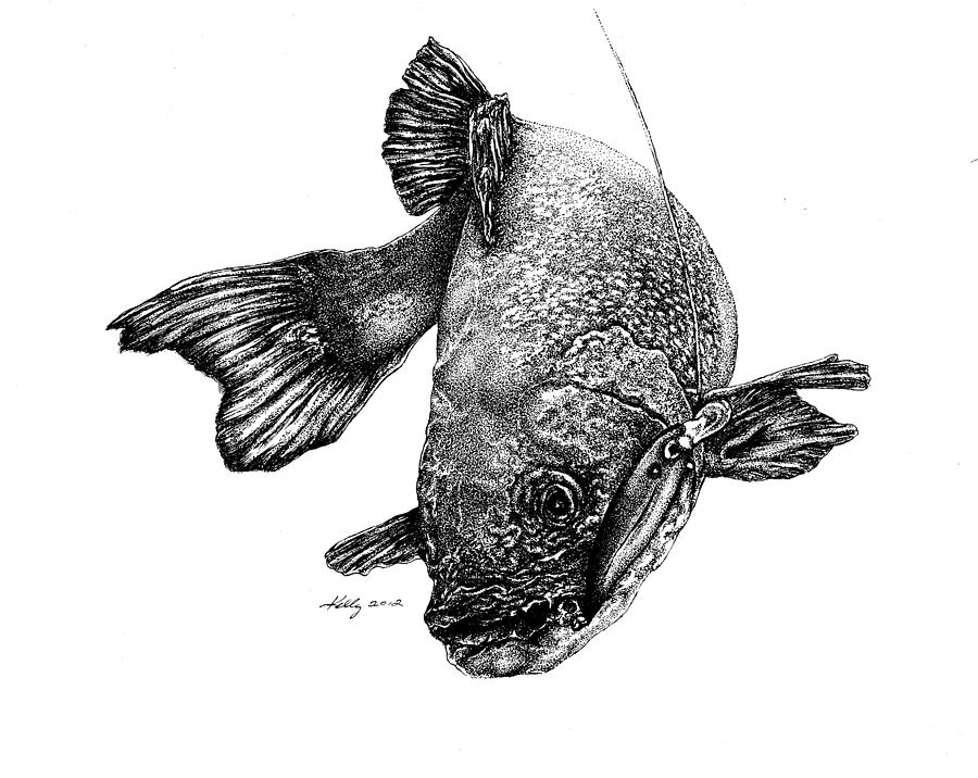 900x716 Walleye Drawing - Walleye Drawing