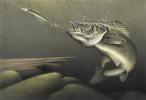 300x206 striking distance drawing - Walleye Drawing