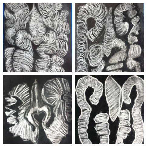 484x484 gina on twitter year peter randall - Walnut Drawings