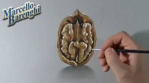 300x168 image result for walnut drawing sketch sketches - Walnut Drawings