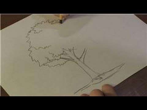 480x360 nature drawings how to draw a walnut tree - Walnut Drawings
