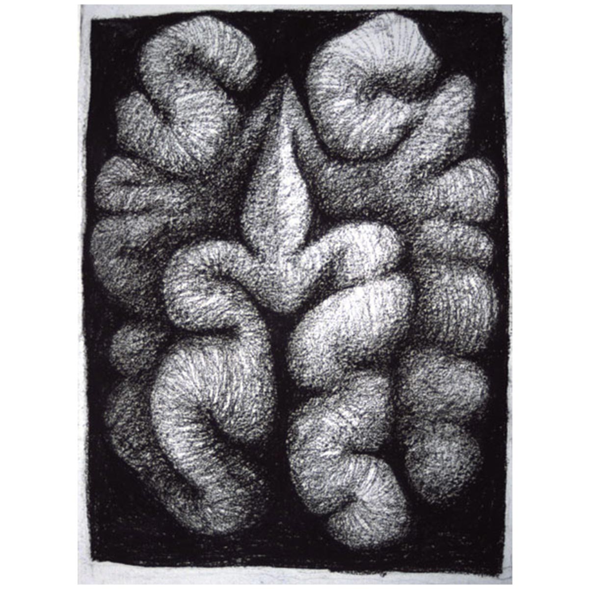 1200x1200 peter randall - Walnut Drawings