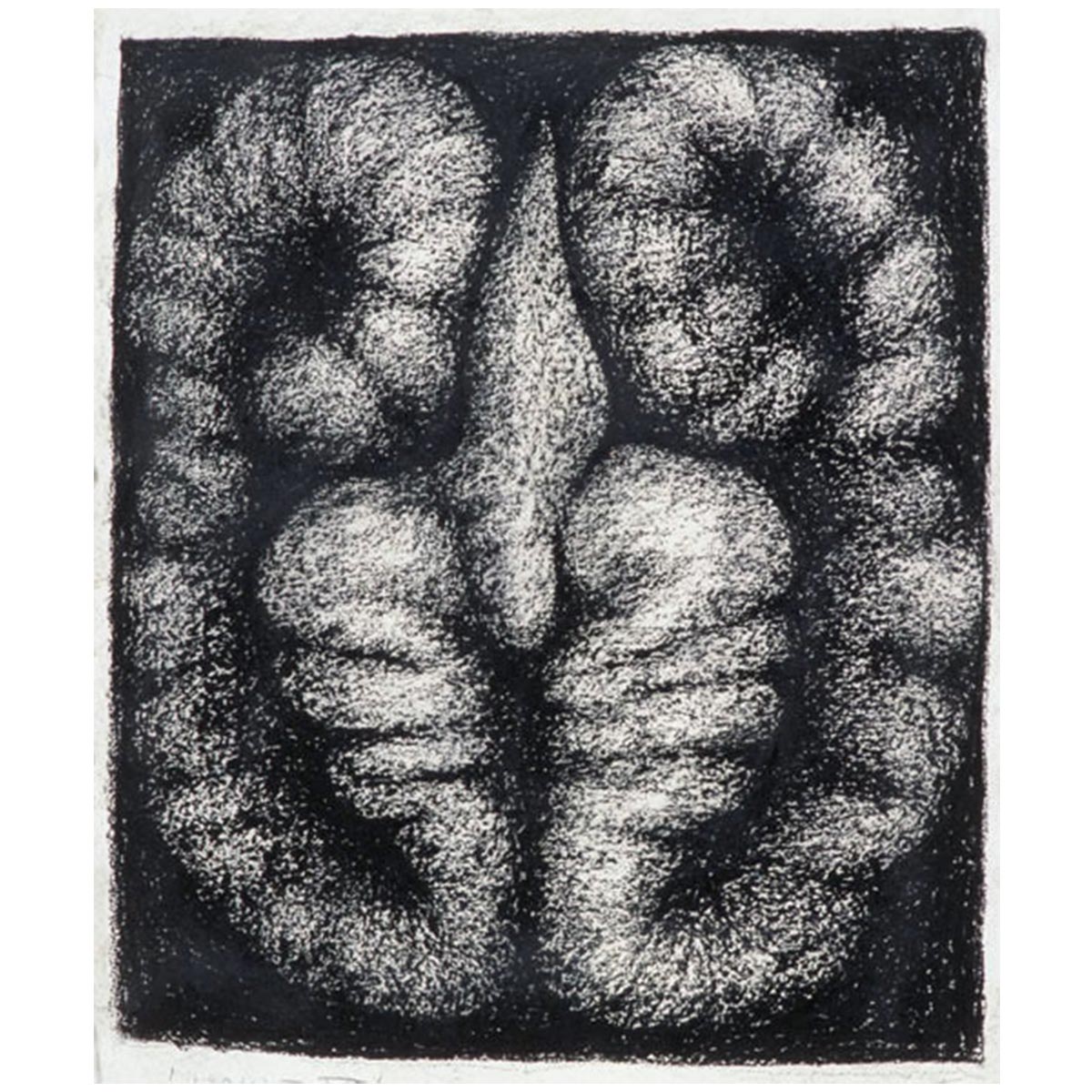 1200x1200 peter randall - Walnut Drawings