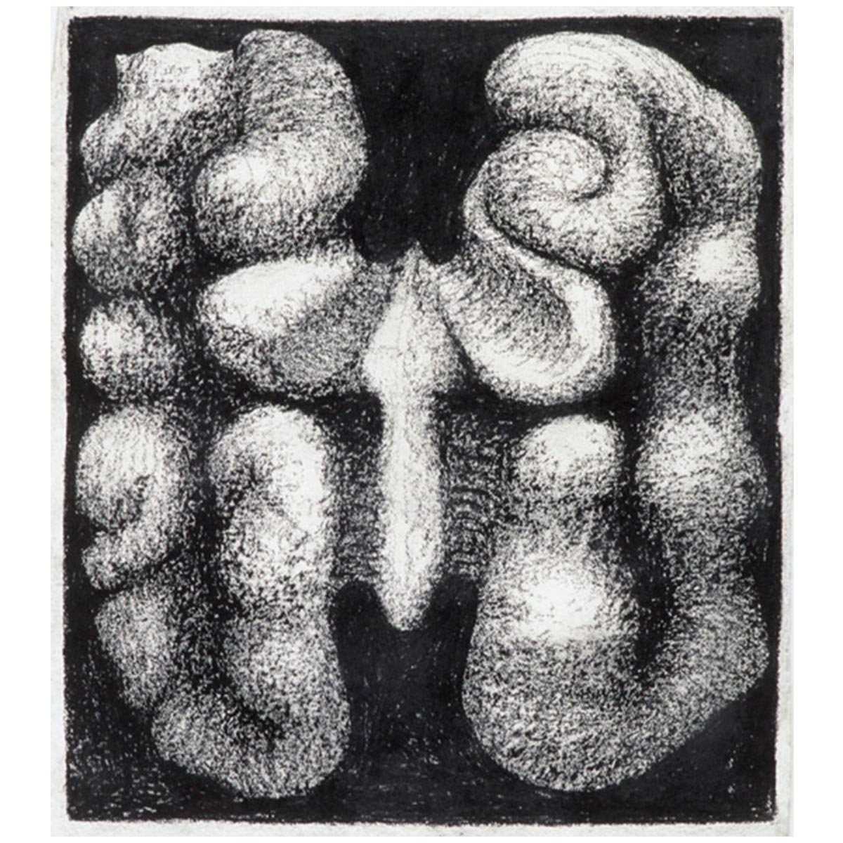 1200x1200 peter randall - Walnut Drawings