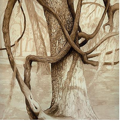 406x404 stephanie clark - Walnut Drawings