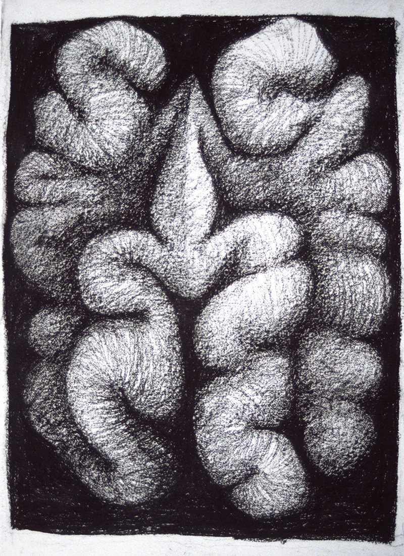 Walnut Drawings at Explore collection of Walnut