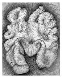201x250 best art peter randall - Walnut Drawings