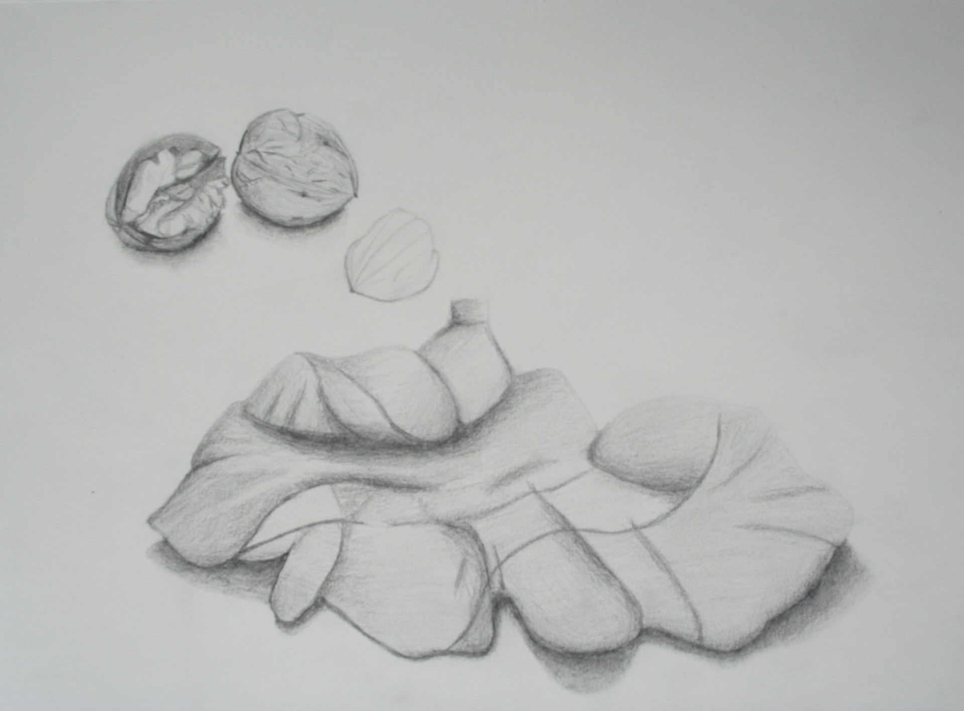 Walnut Drawings at Explore collection of Walnut