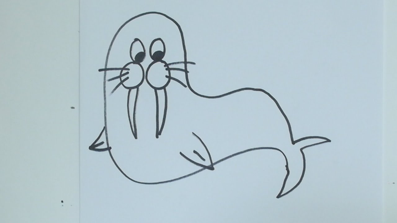 1280x720 How To Draw Cartoon Walrus - Walrus Drawing
