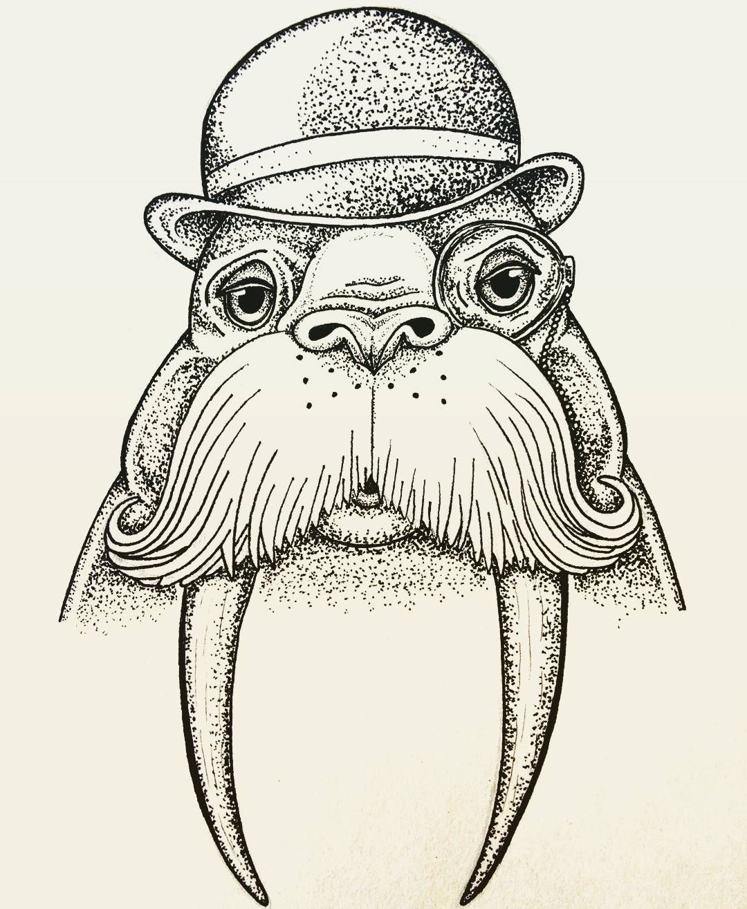 1080x1315 Newest Illustration Done - Walrus Drawing