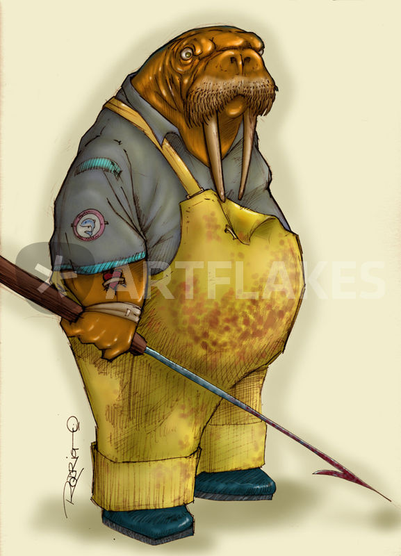 577x800 Walrus Drawing Art Prints And Posters - Walrus Drawing