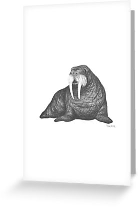 277x415 Frank Wallace In White Walrus Drawing Greeting Cards - Walrus Drawing